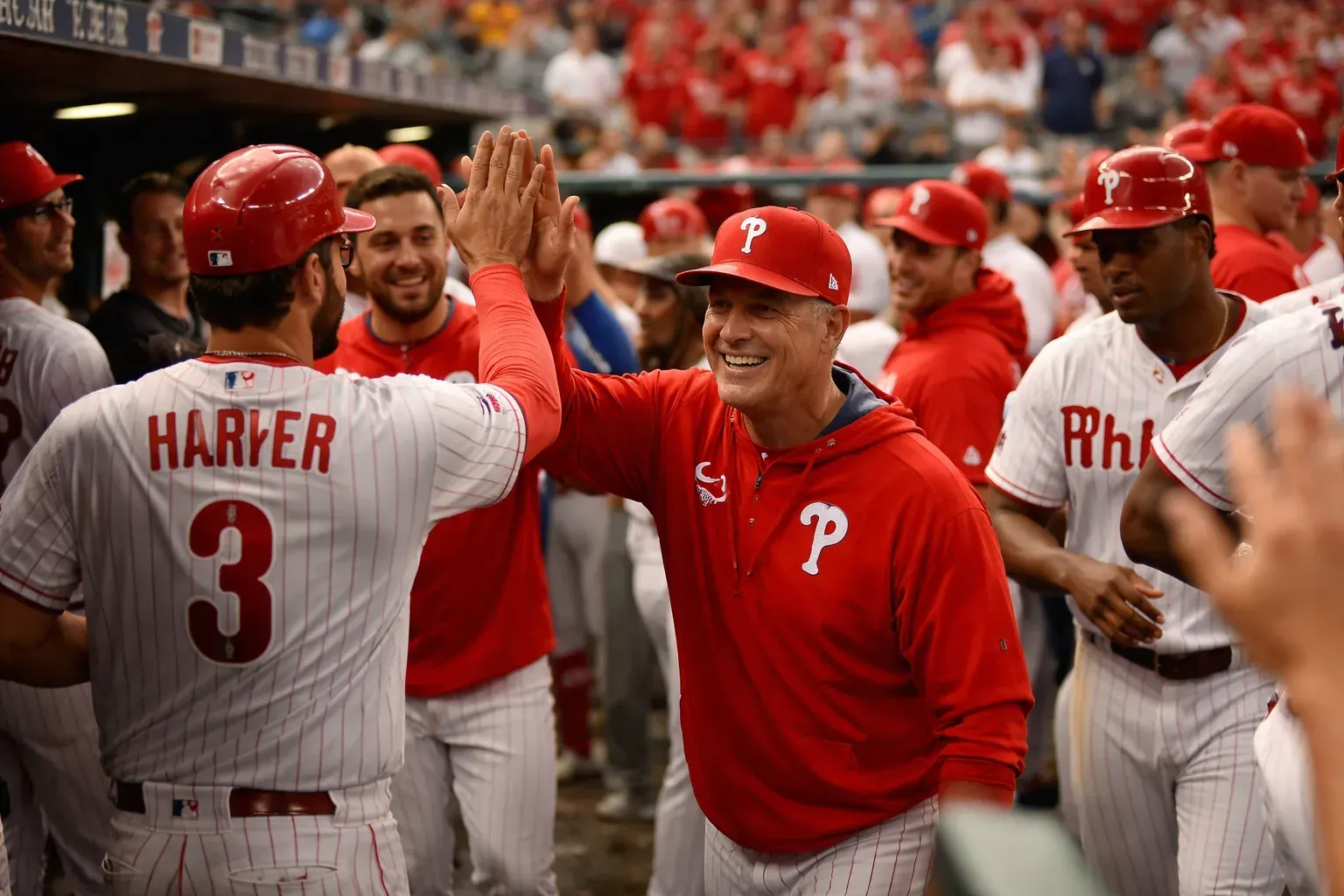 Don Mattingly watching a Philadelphia Phillies game from the dugout during their winning streak.